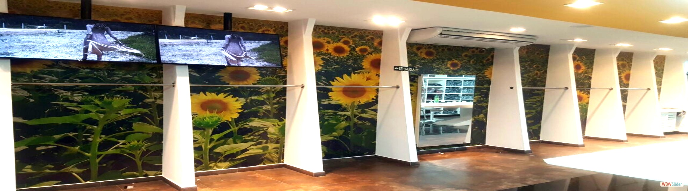 IMPRESSÃO DE ADESIVOS